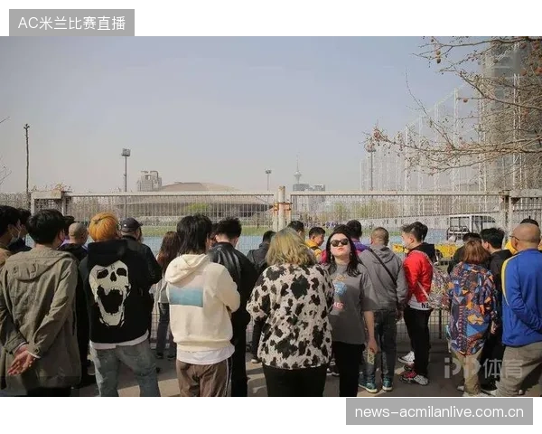 “津门虎被扣十分”背后的深情与坚守——上海虎年守护者的故事